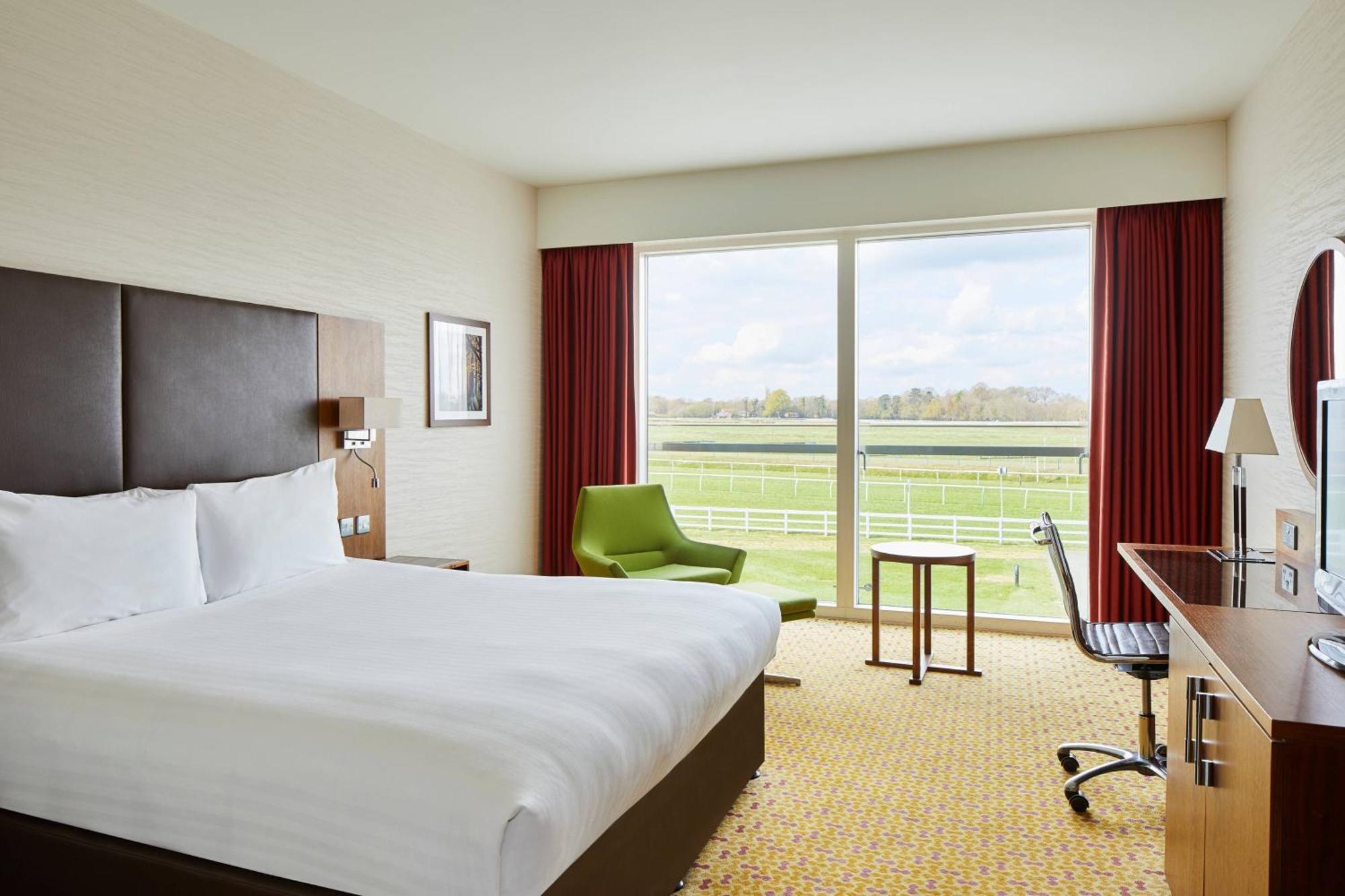 Guest Room, 1 King,1634406522:JPEG